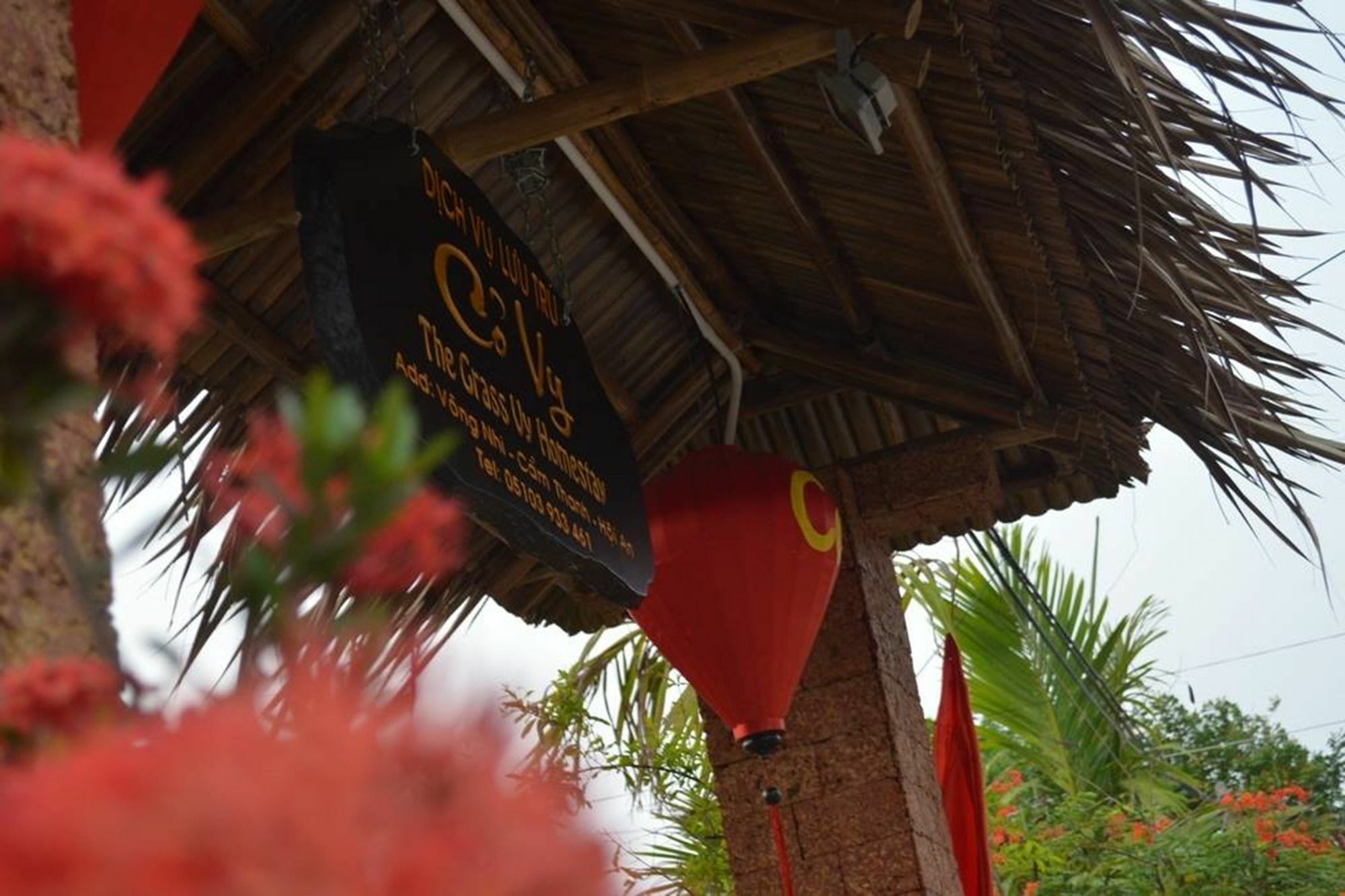 The Grass Vy Apartment Hoi An Luaran gambar