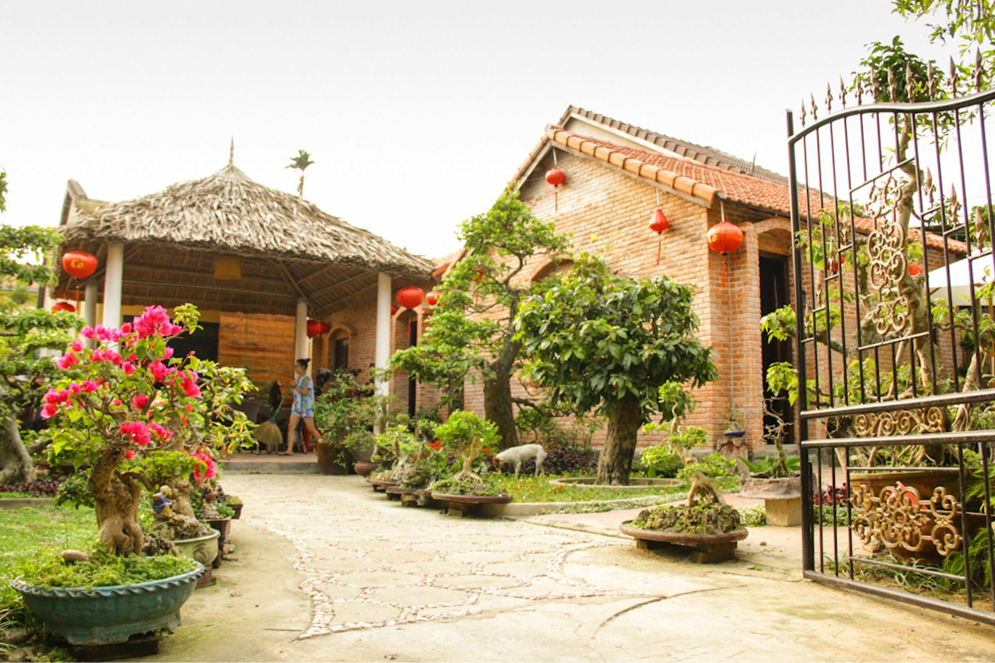 The Grass Vy Apartment Hoi An Luaran gambar