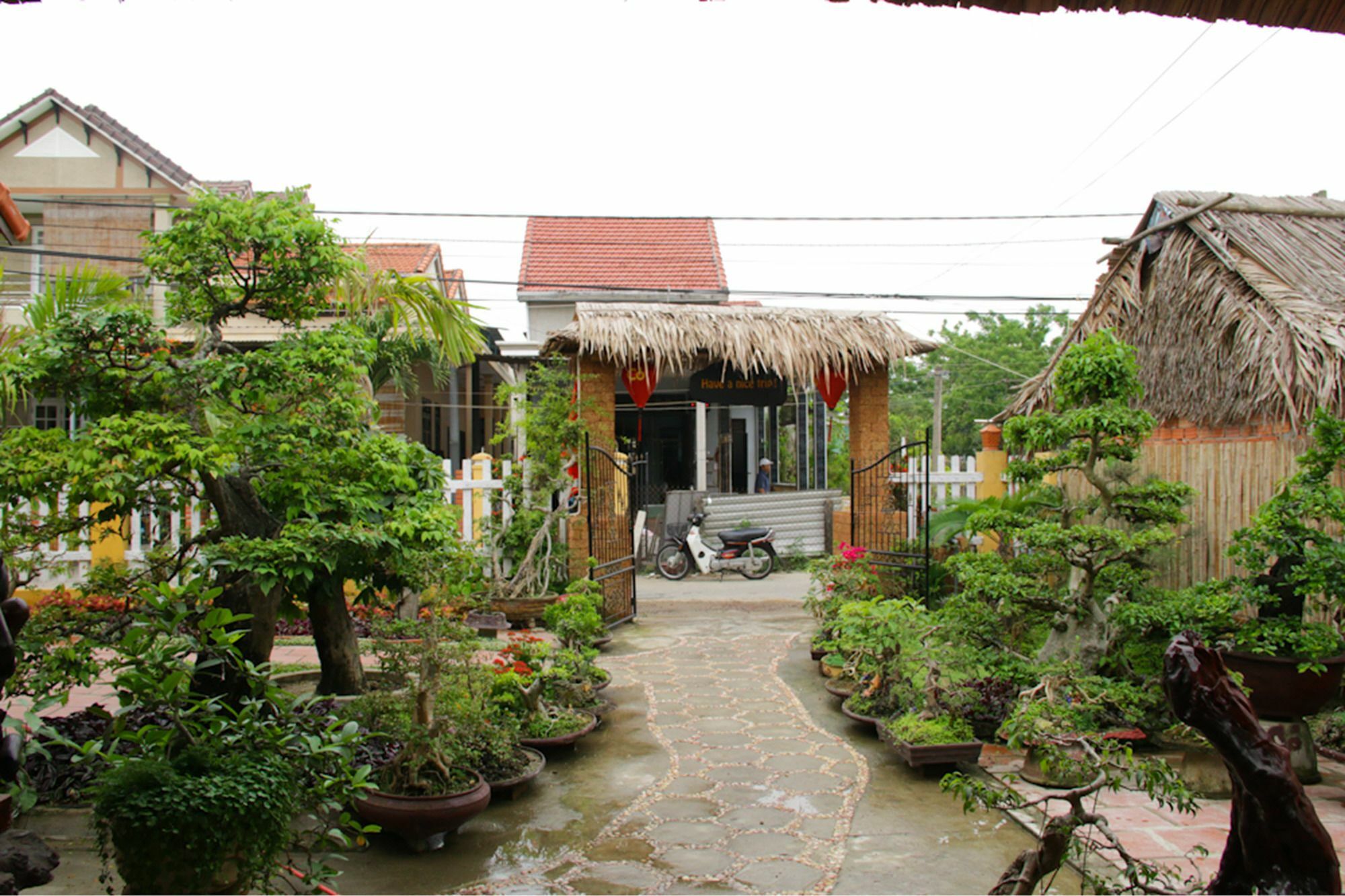 The Grass Vy Apartment Hoi An Luaran gambar